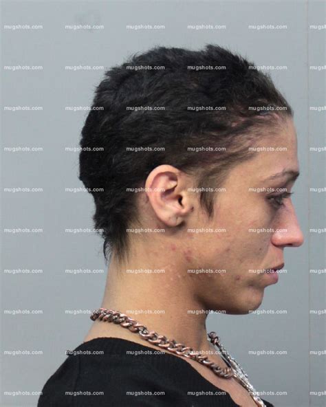 Miami dade arrests mugshots - 